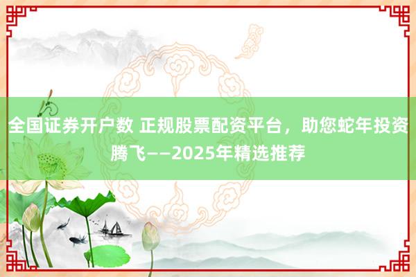全国证券开户数 正规股票配资平台，助您蛇年投资腾飞——2025年精选推荐