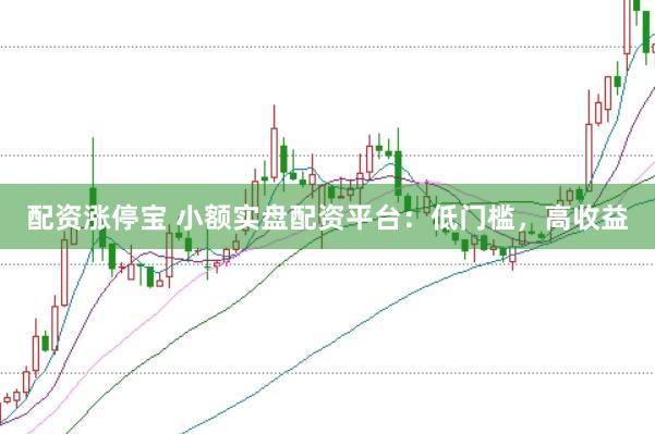 配资涨停宝 小额实盘配资平台：低门槛，高收益