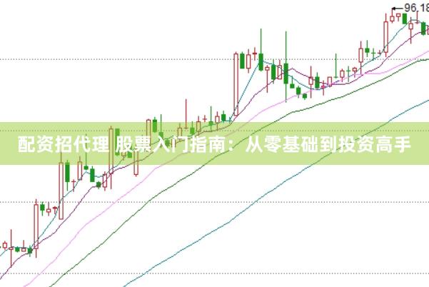 配资招代理 股票入门指南：从零基础到投资高手