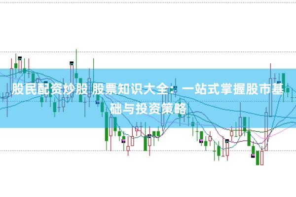 股民配资炒股 股票知识大全：一站式掌握股市基础与投资策略