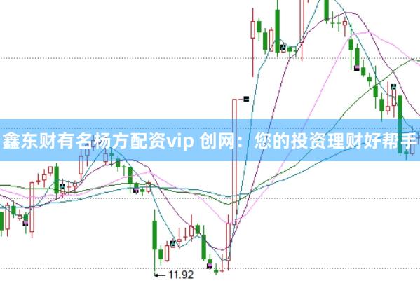 鑫东财有名杨方配资vip 创网：您的投资理财好帮手