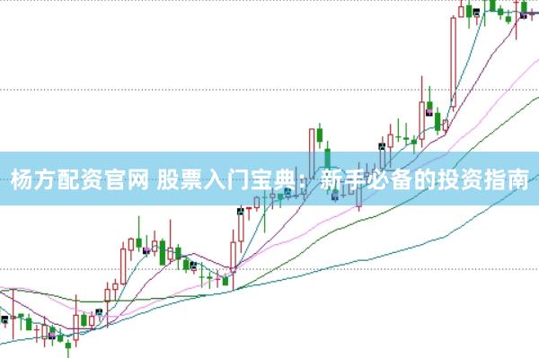 杨方配资官网 股票入门宝典：新手必备的投资指南