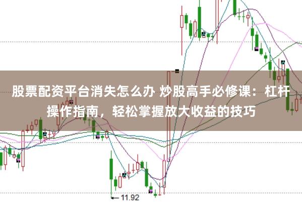股票配资平台消失怎么办 炒股高手必修课：杠杆操作指南，轻松掌握放大收益的技巧
