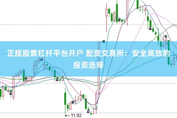 正规股票杠杆平台开户 配资交易所：安全高效的投资选择