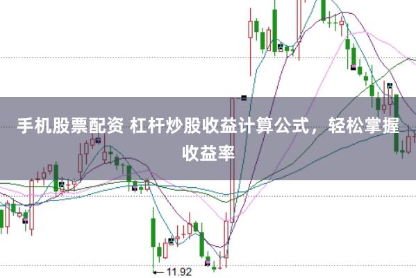 手机股票配资 杠杆炒股收益计算公式，轻松掌握收益率