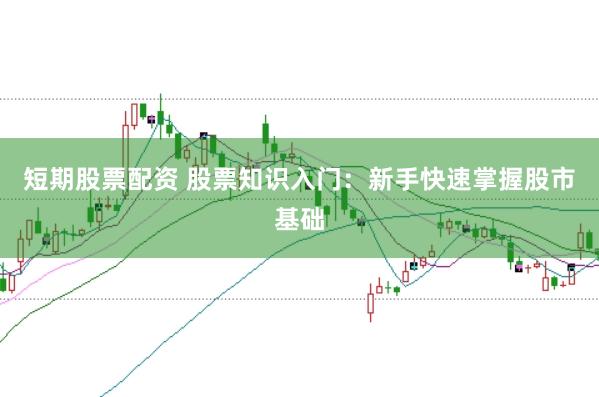 短期股票配资 股票知识入门：新手快速掌握股市基础