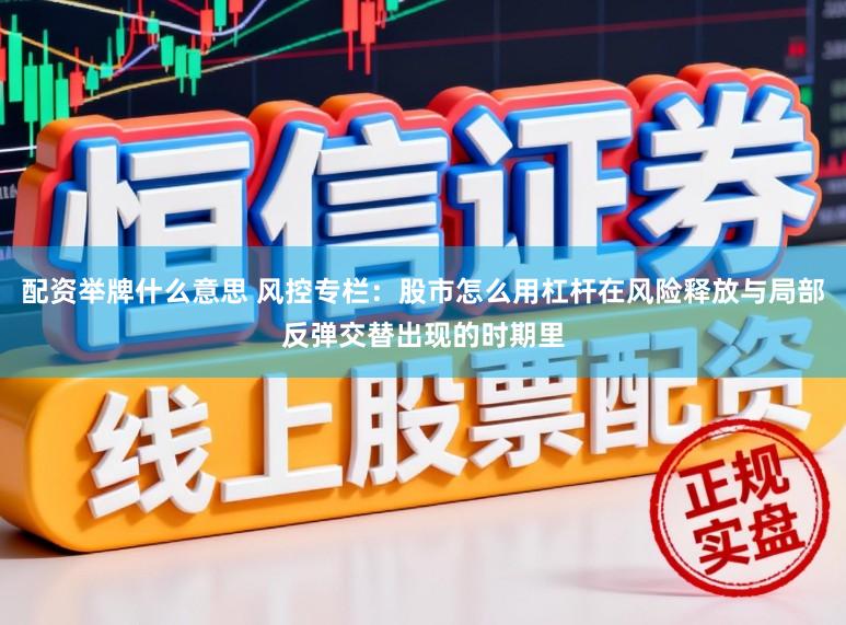 配资举牌什么意思 风控专栏：股市怎么用杠杆在风险释放与局部反弹交替出现的时期里