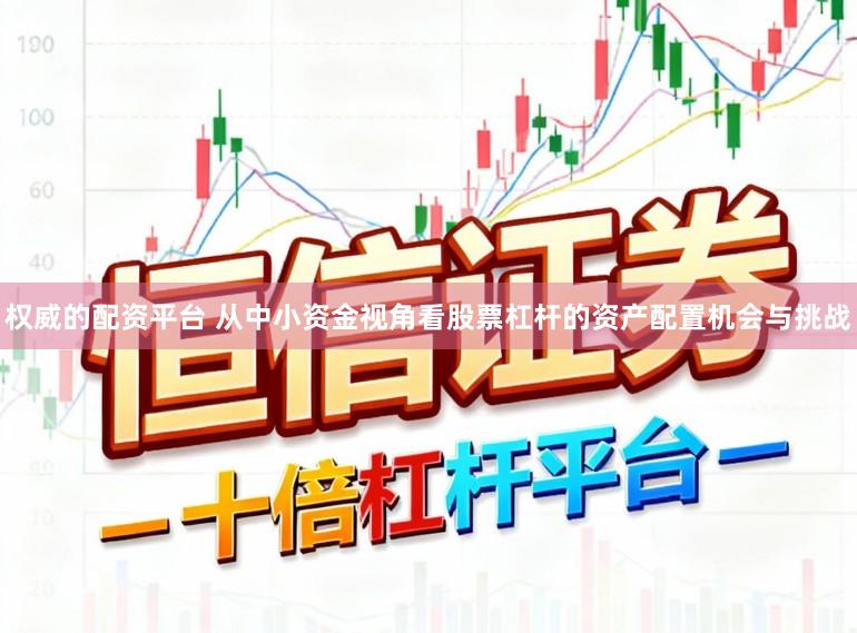 权威的配资平台 从中小资金视角看股票杠杆的资产配置机会与挑战